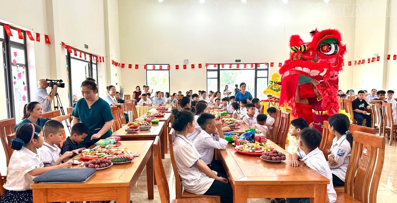 baolaocai-tr_z7887374735191-1c18be1cc46f28523869a19a909e77ee.jpg