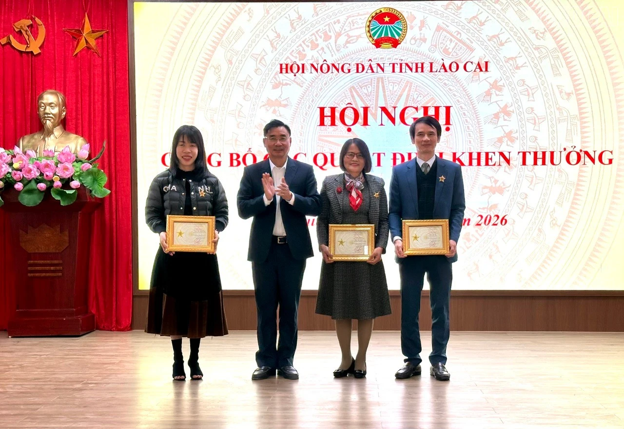 baolaocai-tr_z7436053307618-1192c28317fd36765fb5bf86e910c4e0.jpg