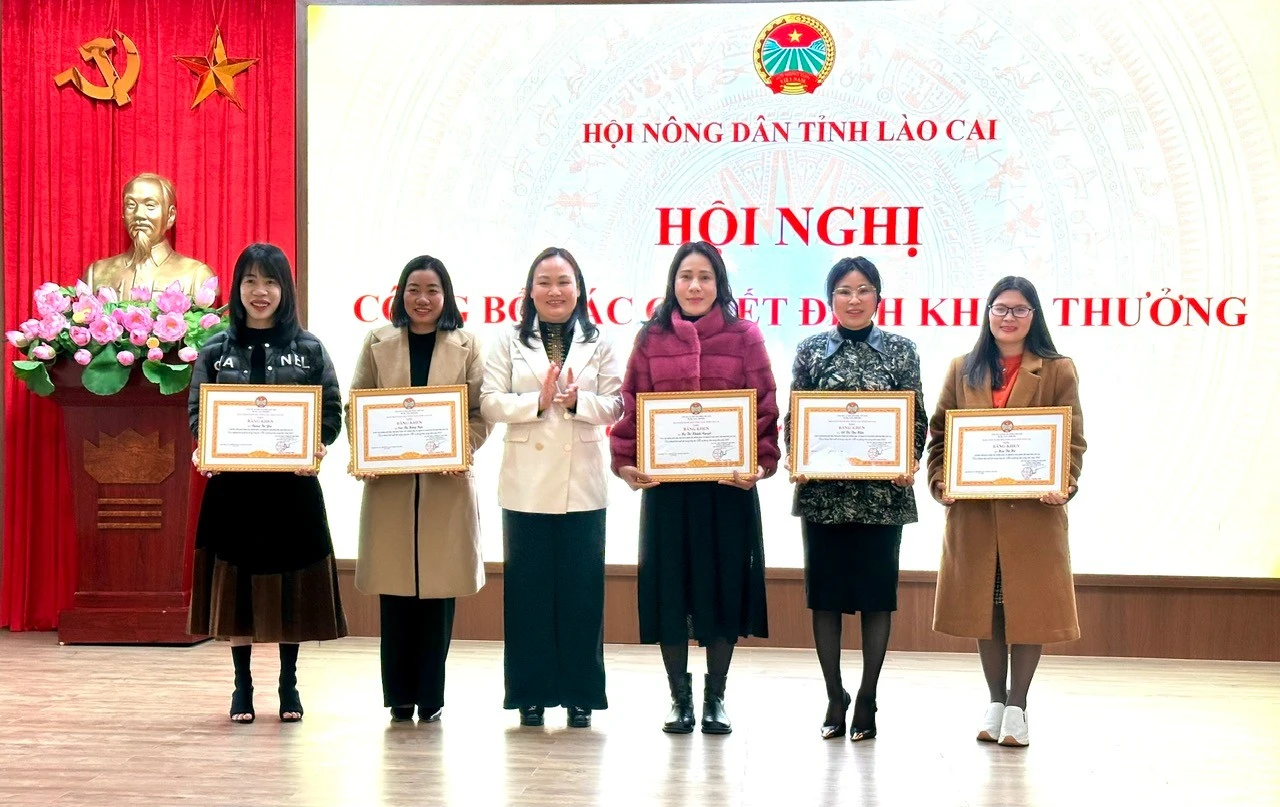 baolaocai-tr_z7436077514453-469f8636728cdf8d2e8e927ffe2c8581.jpg