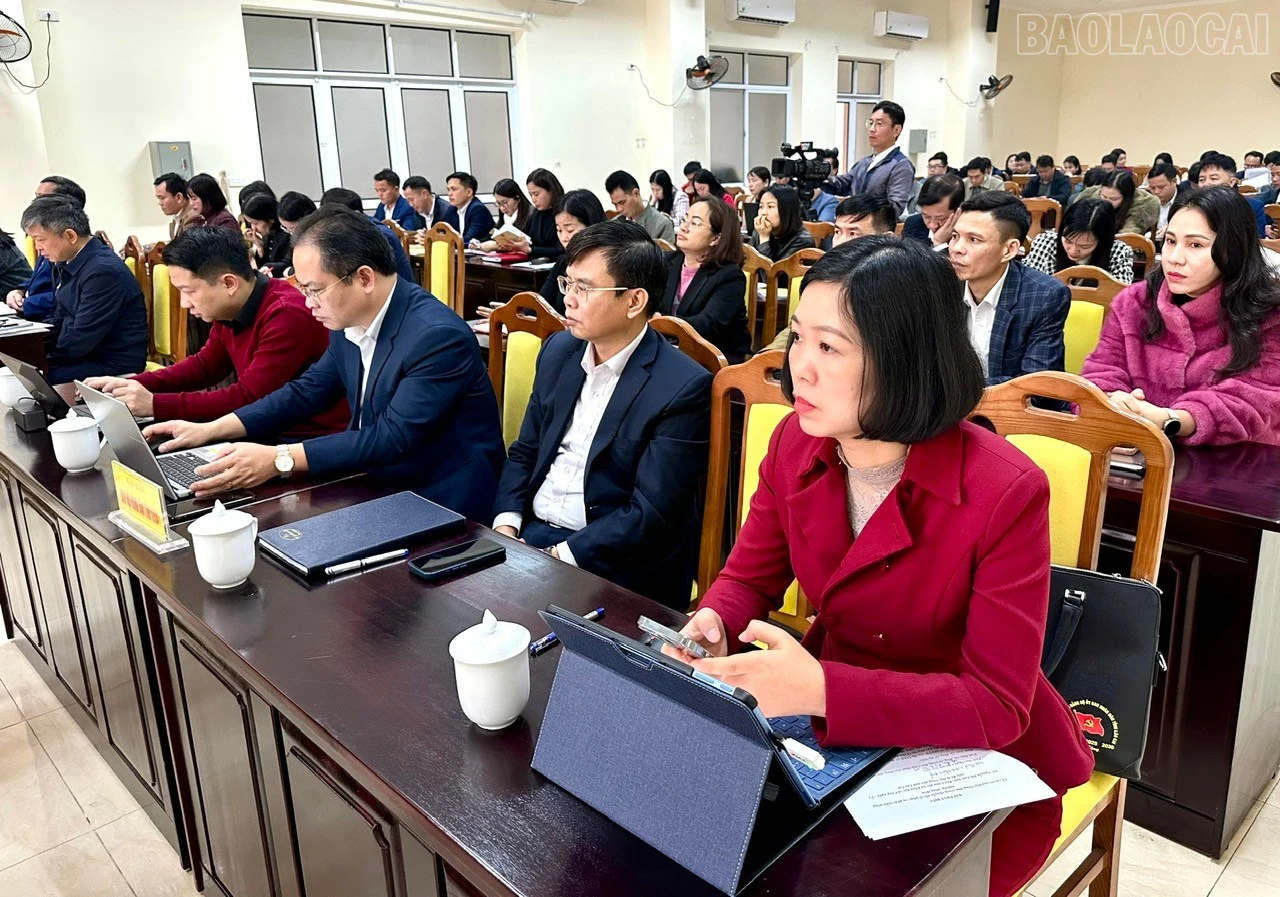 baolaocai-tr_z7435421922515-7224b14080c8175712c00d07b7b8f266.jpg