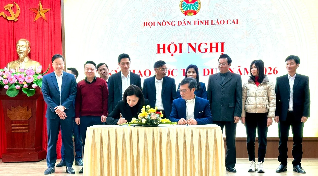 baolaocai-tr_z7436138988316-eefd7b8904212e39383c52573fec0736.jpg
