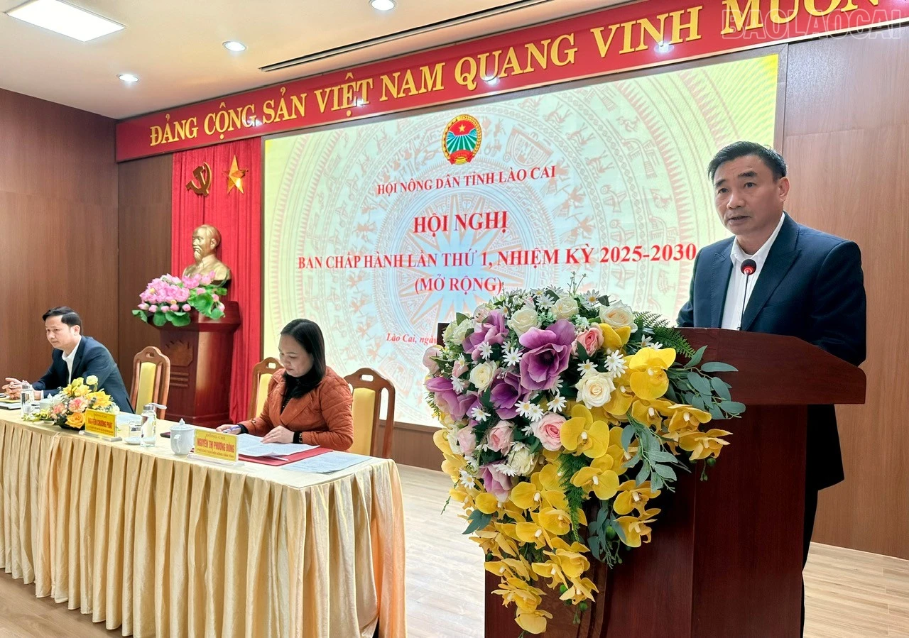 baolaocai-tr_z7435432871510-8e99d6a37750e3391c0cfb924495cf5b.jpg
