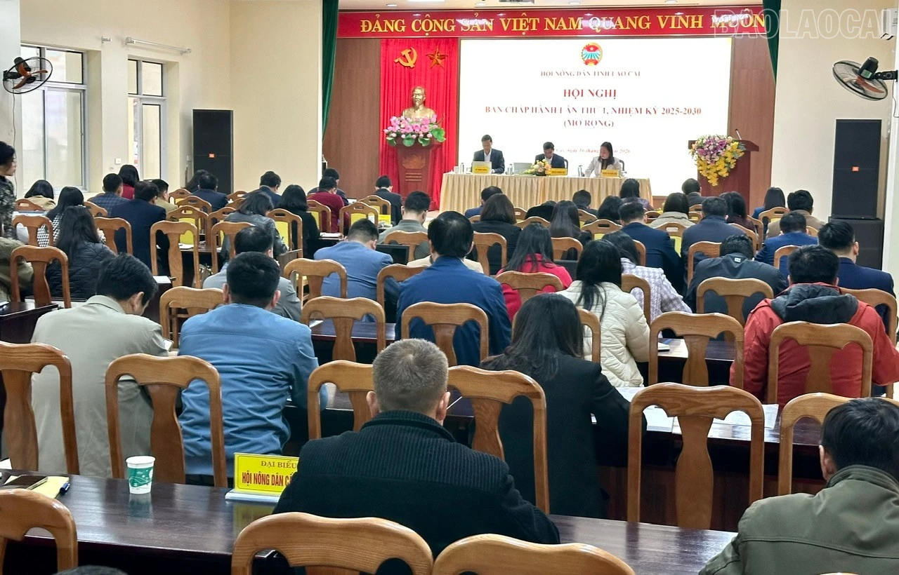 baolaocai-tr_z7435765988009-659e142e43087ad70faaeb1acb3f5959.jpg