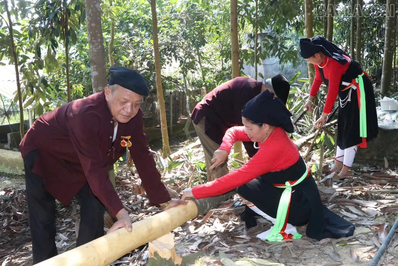 baolaocai-tr_z7567194885703-a0dca6da87603a27df58edfd042b5735.jpg