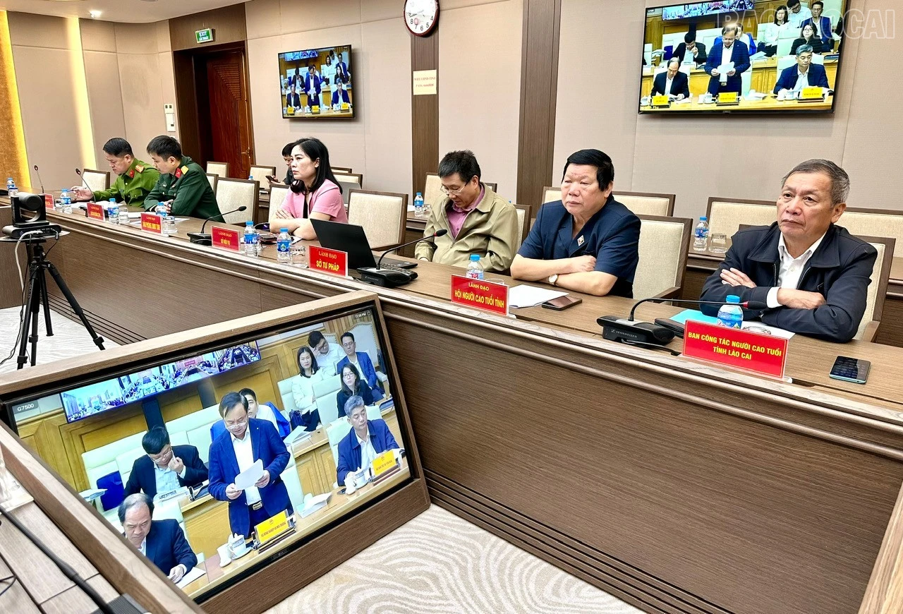 baolaocai-tr_z7608218652564-0129a1128614e22961bdaa32206a29c3.jpg