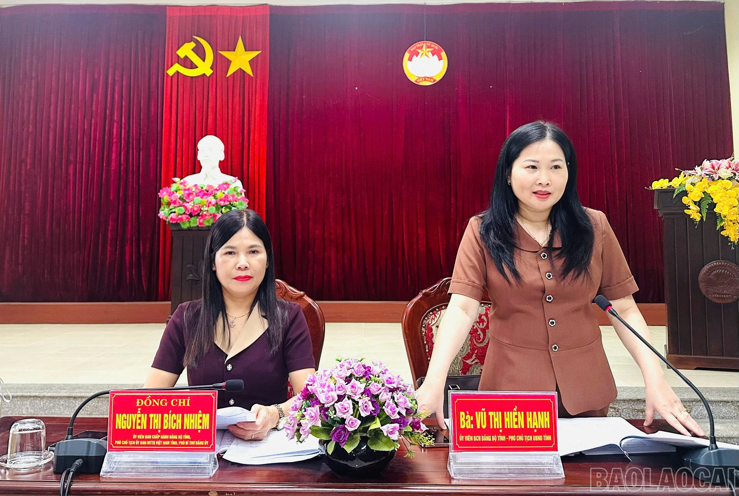 baolaocai-br_hn5.jpg