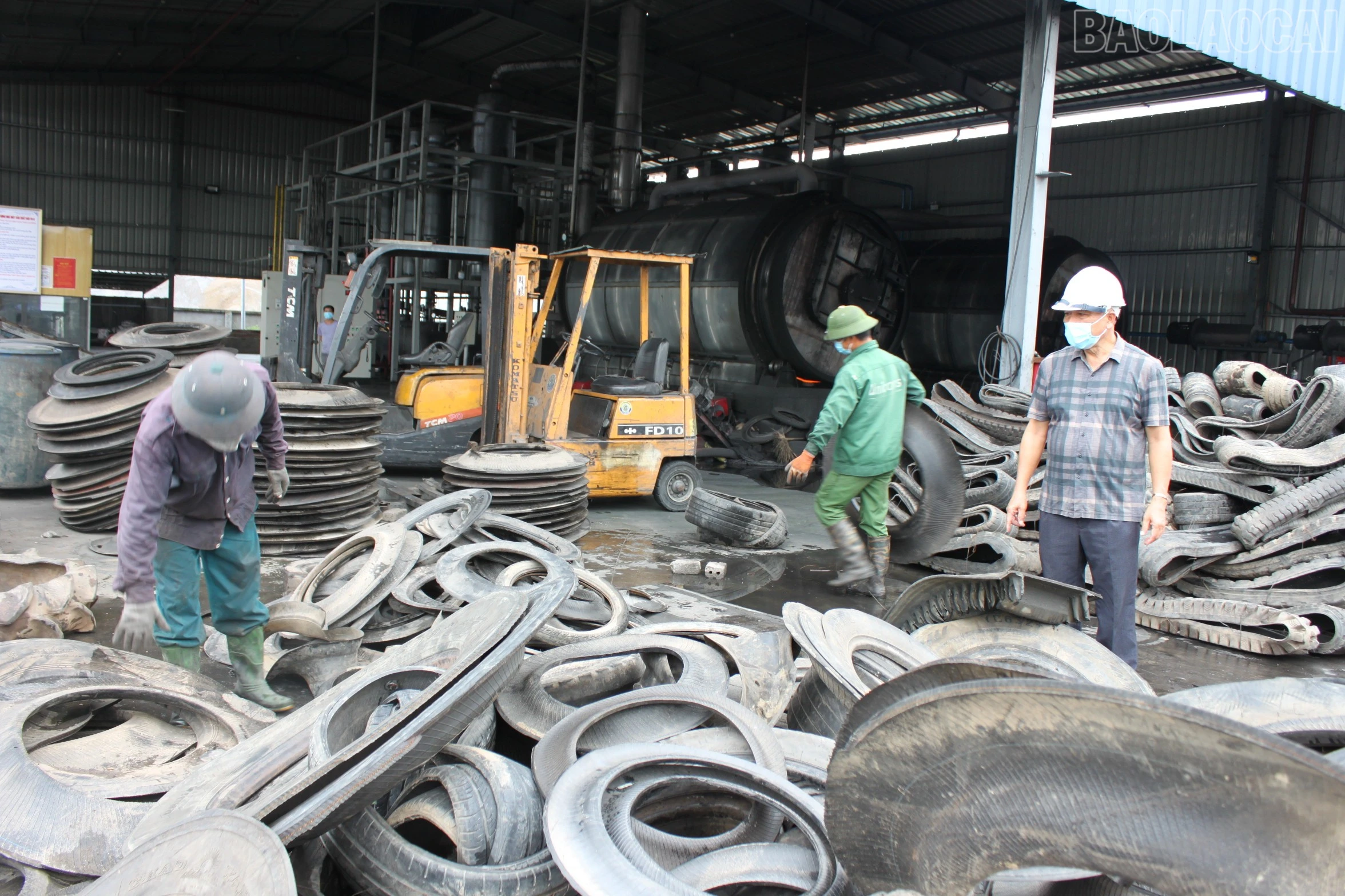 baolaocai-tr_img-0680.jpg