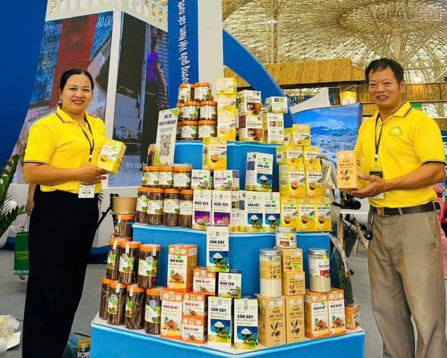 baolaocai-tr_z7506368204043-c102d9a173decaf4b93c7b1d4e283362.jpg