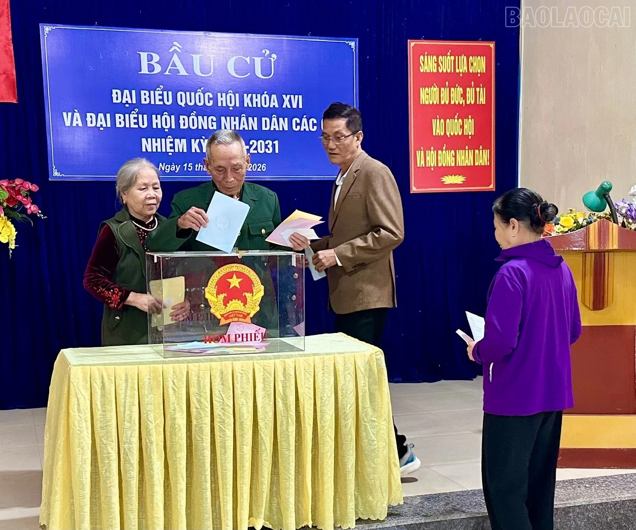 baolaocai-tr_z7621472166669-14592ed36bb920292dfaacceeb1f6745.jpg