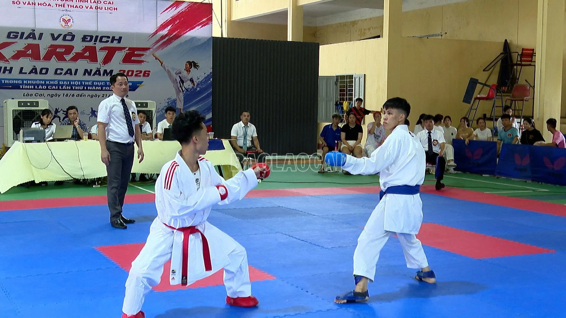 baolaocai-c_z7952725095132-a030077c7b985c14a517b60e7048a4d7.jpg