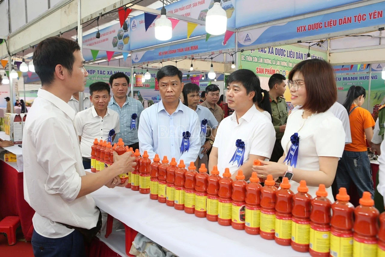 baolaocai-c_z7731844385024-434b4f3a960c86ba5cb5e09836cfc17b.jpg