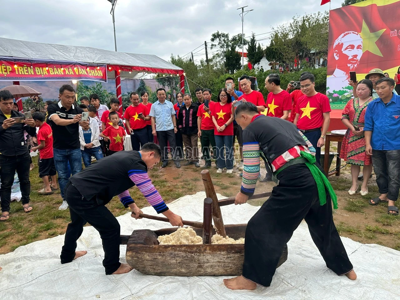 baolaocai-c_z6959989430153-9befb129e803c6072cb01798354b8f14.jpg