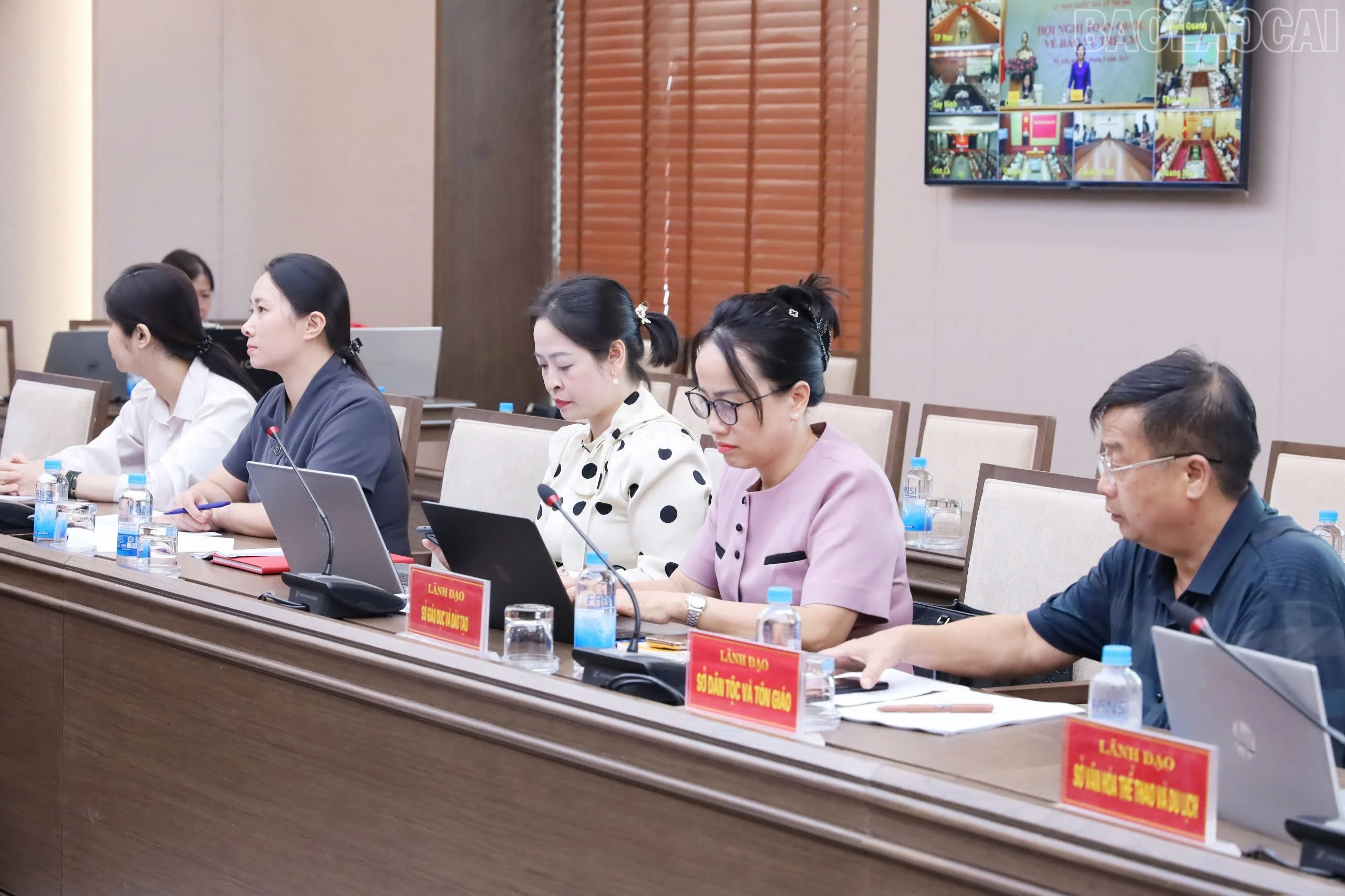 baolaocai-tr_z7974552837296-9768d61ccc83fd01cb79351f7771ecfd.jpg