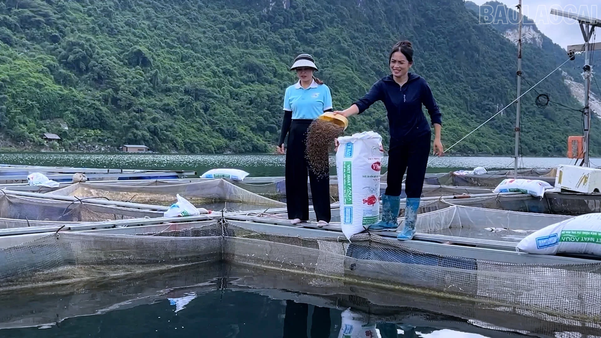 baolaocai-tr_z7396267473179-7a5e085aad905c1564e4fc2289505c7a.jpg