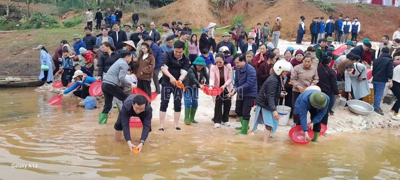 baolaocai-c_z7789510428780-9fd0a558f9f098f9728a69f5ad8f86dc.jpg