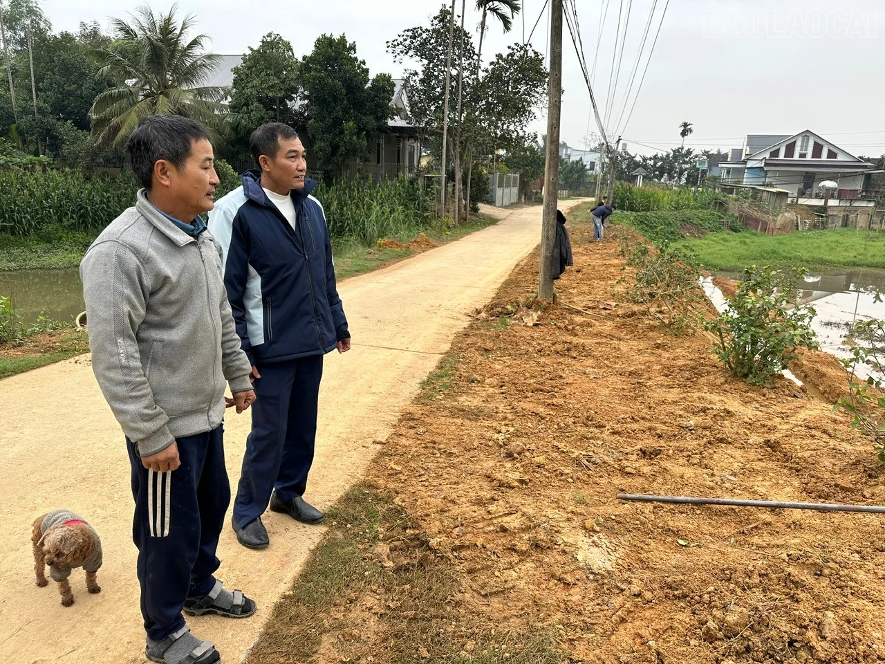 baolaocai-tr_z7416966578739-e343f1bbfcab4cea95314f214144c95c.jpg