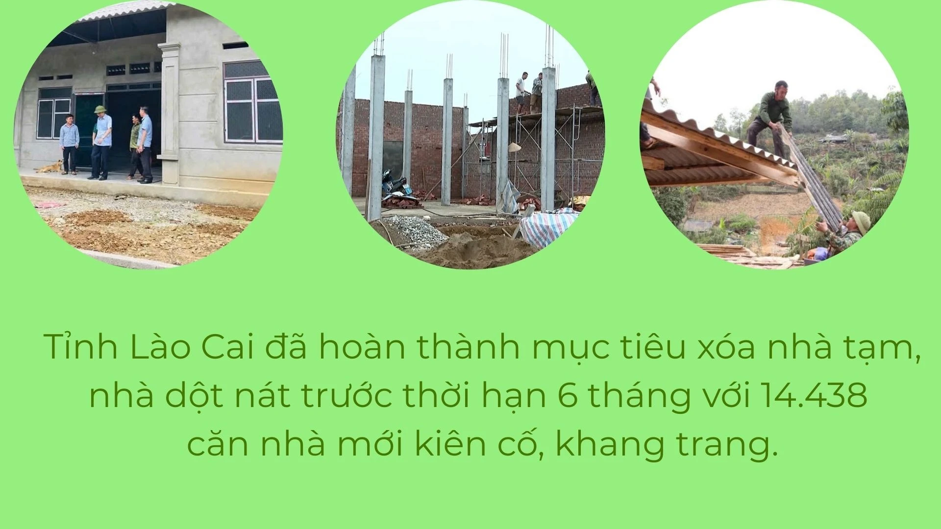 trang-4.jpg