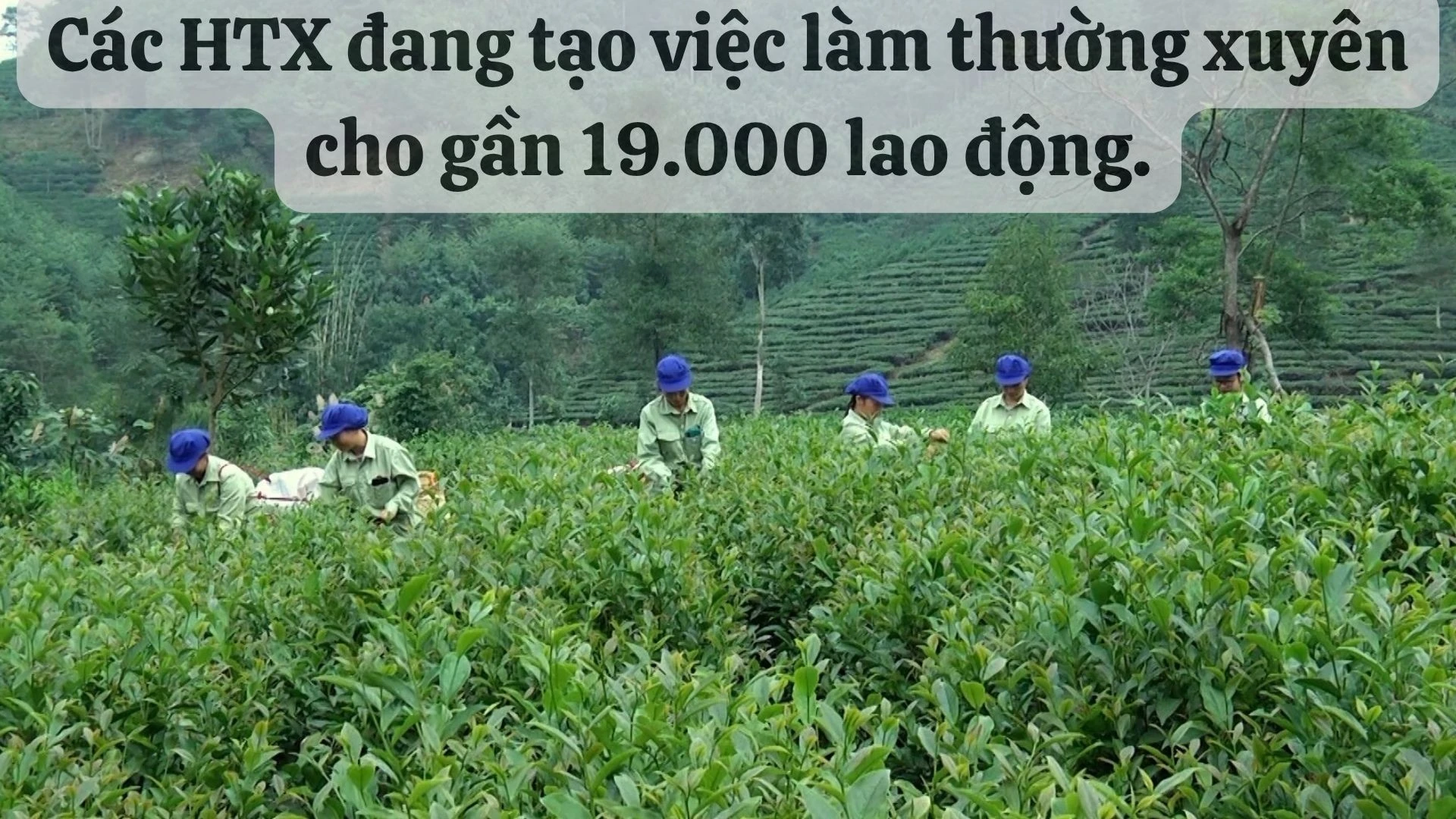 che.jpg