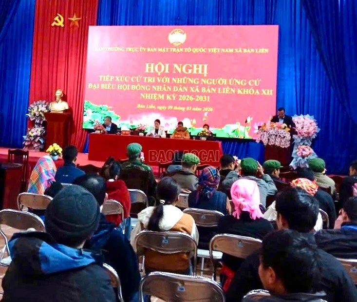 baolaocai-c_z7602194657290-8c47317c63864674435d4080734e62b4.jpg