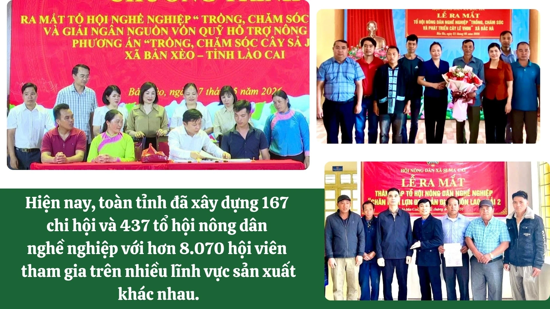 5-cung-1163.jpg