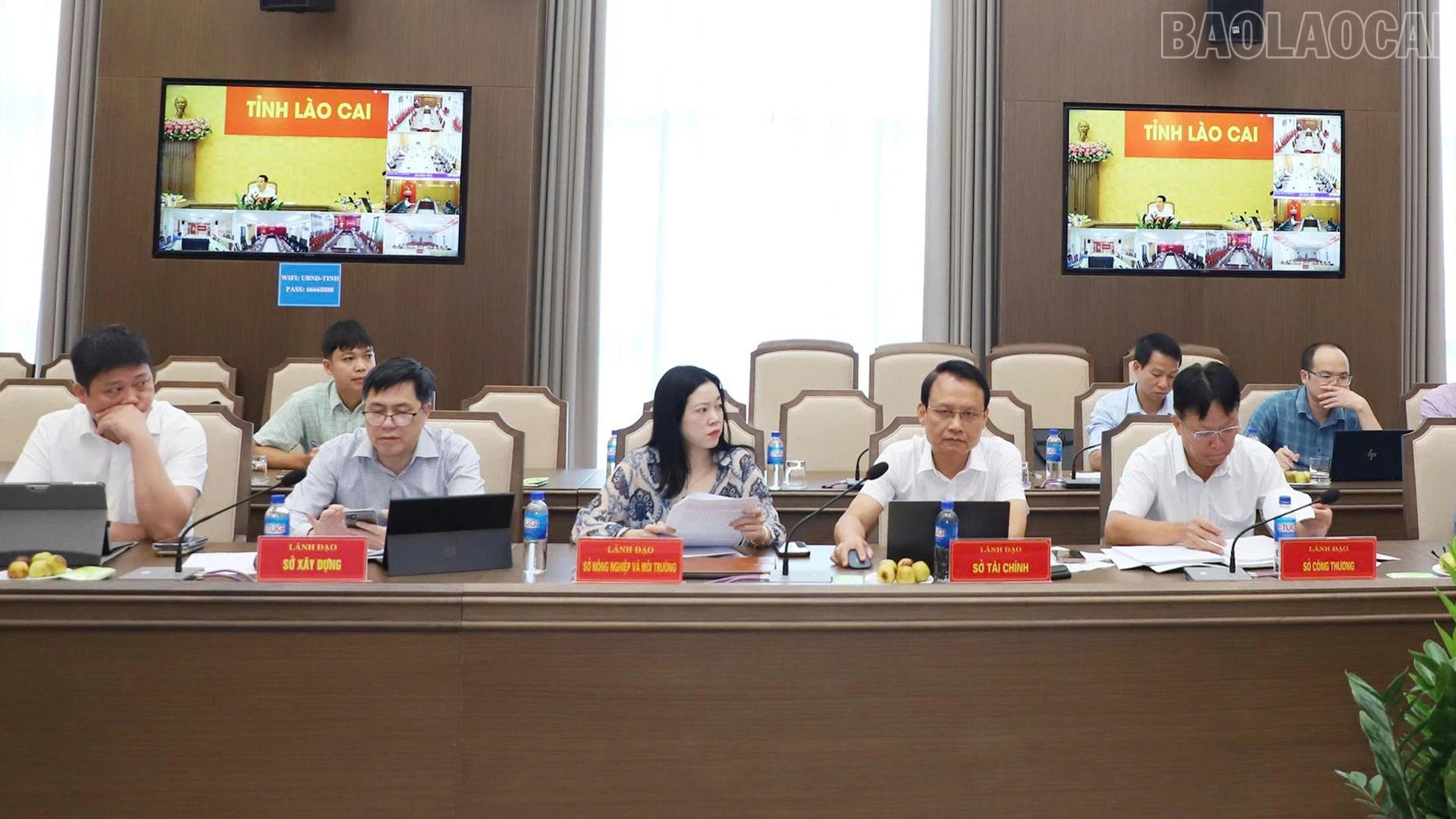 baolaocai-tr_11-copy.jpg