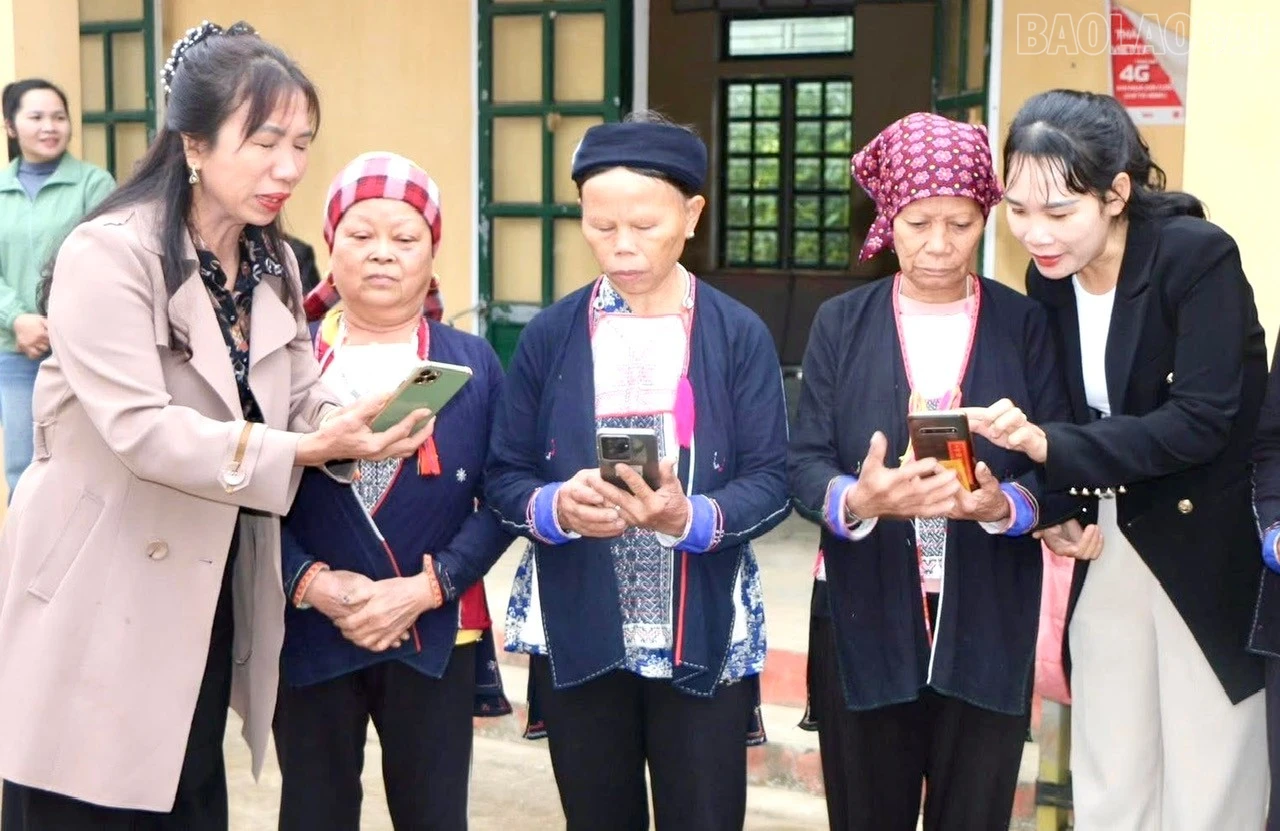 baolaocai-tr_z7390832830550-f050d7464b819214e124c6ffcfc7d66e.jpg