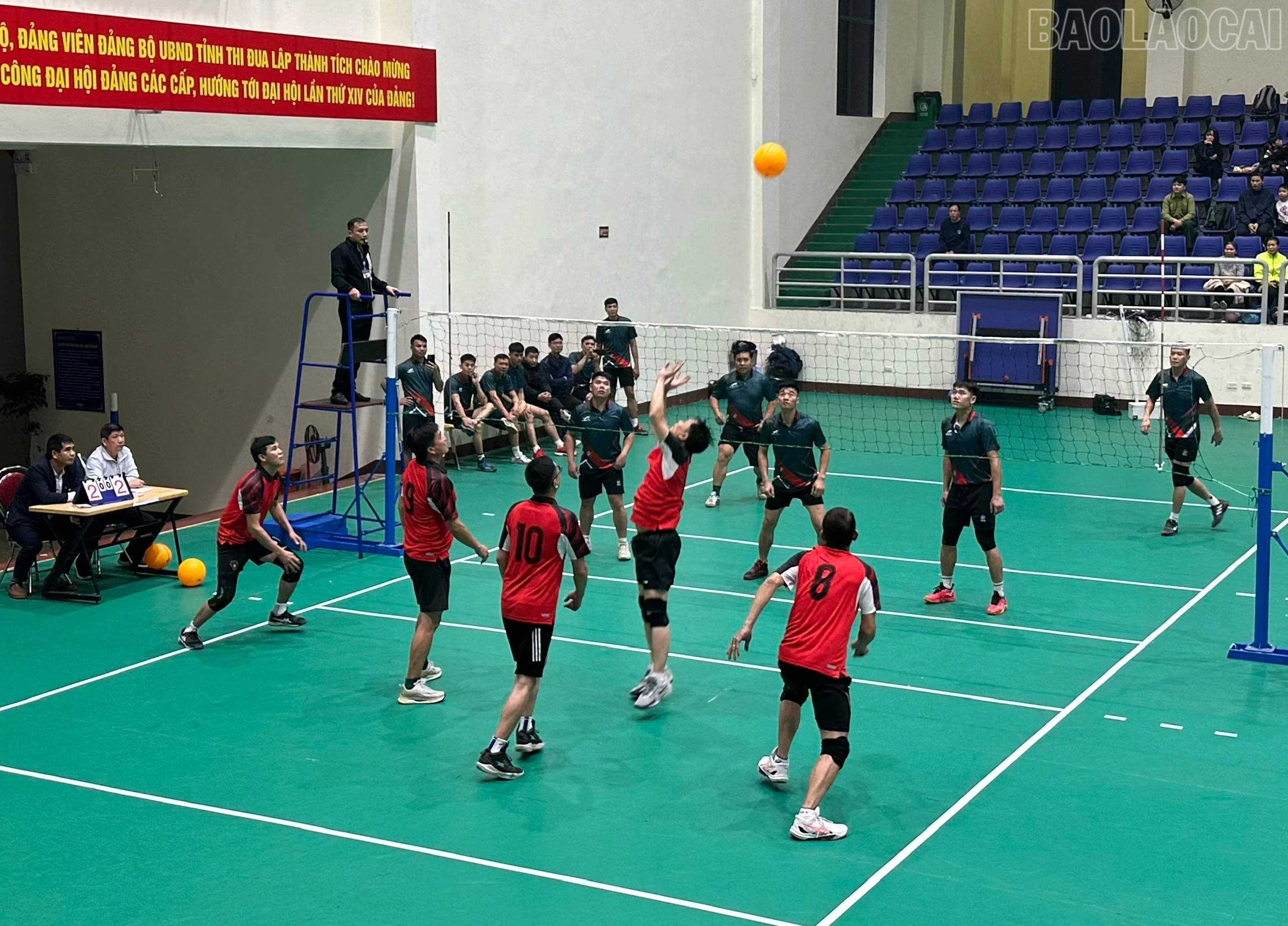 baolaocai-tr_z7320609194781-e8ff7e825036f0c8b2e2d1c296a2455d.jpg