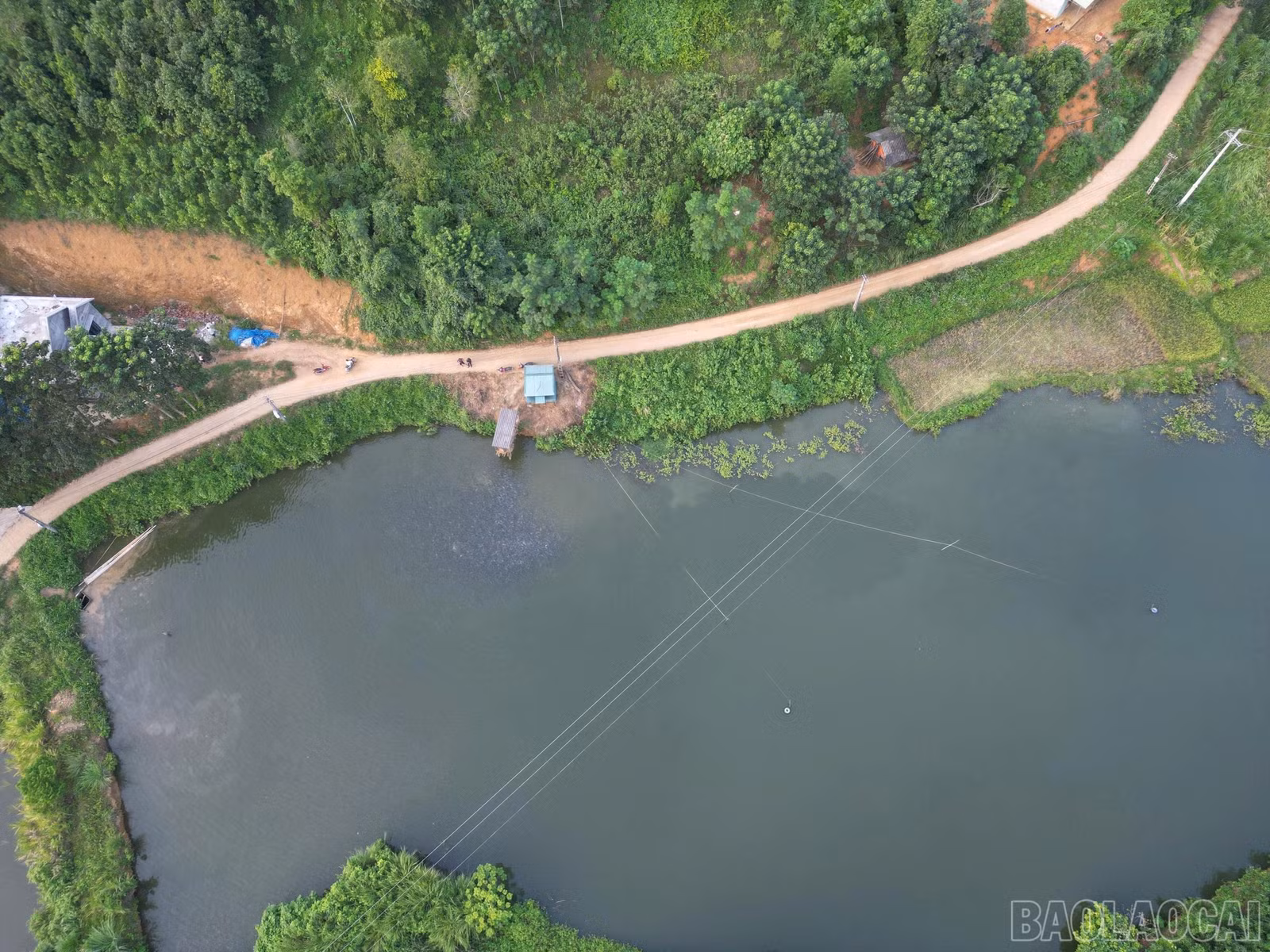 baolaocai-br_z7364214204735-2f6b00a03d582c1b518d3ee2e0c2c73f.jpg