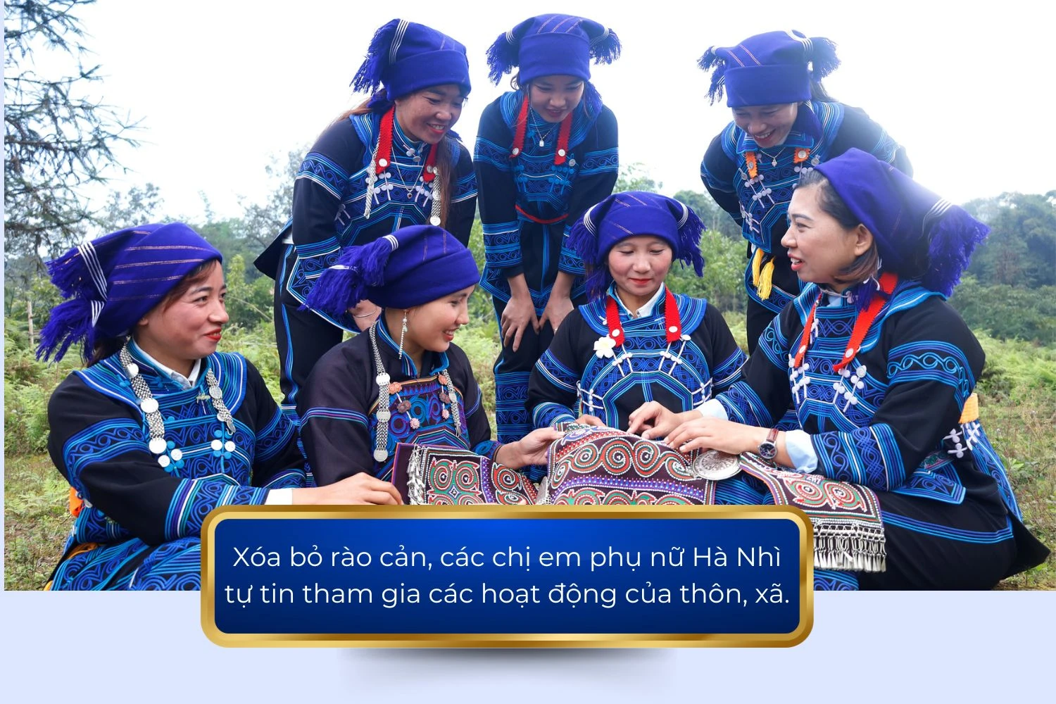 12445.jpg