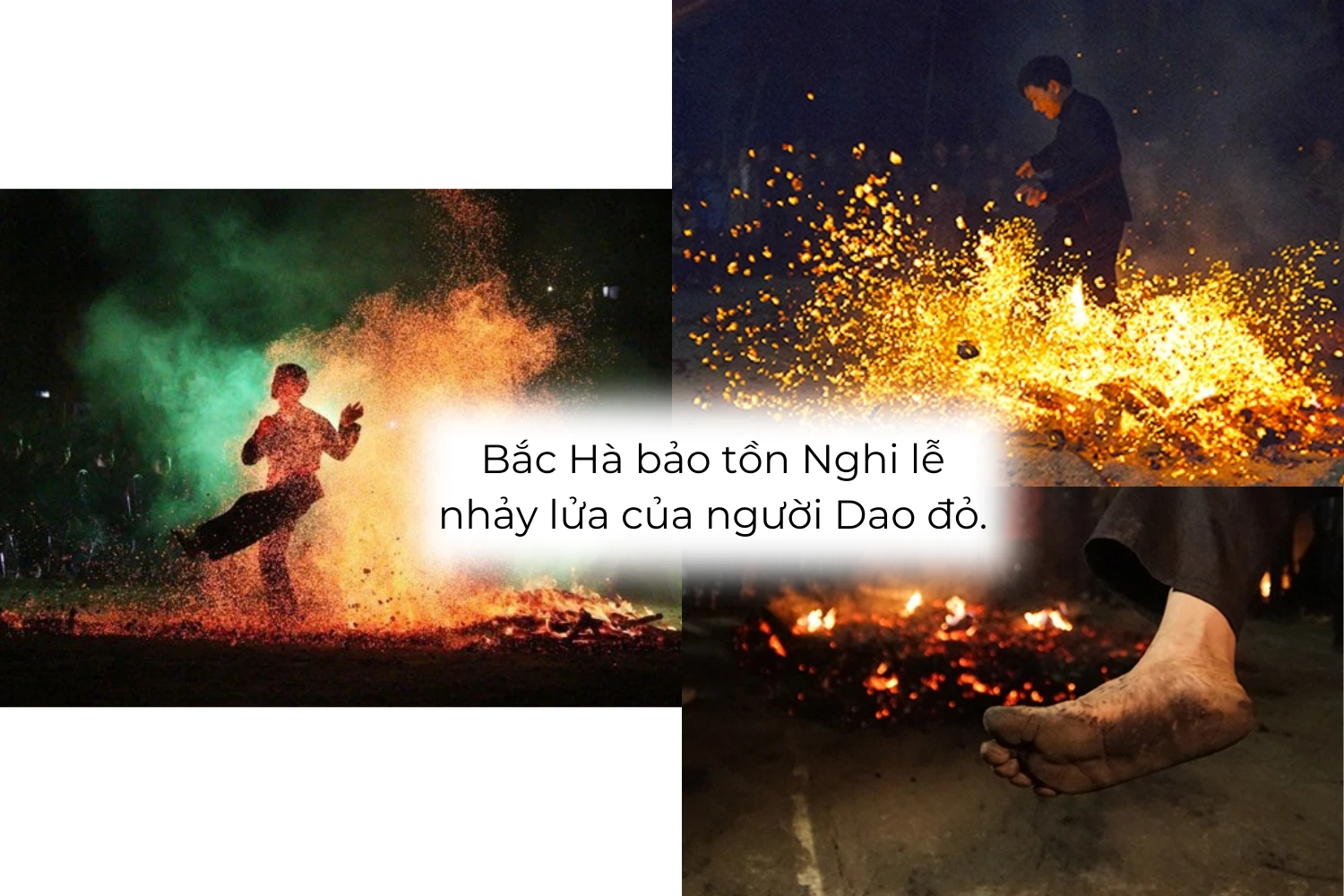 baoton3.png