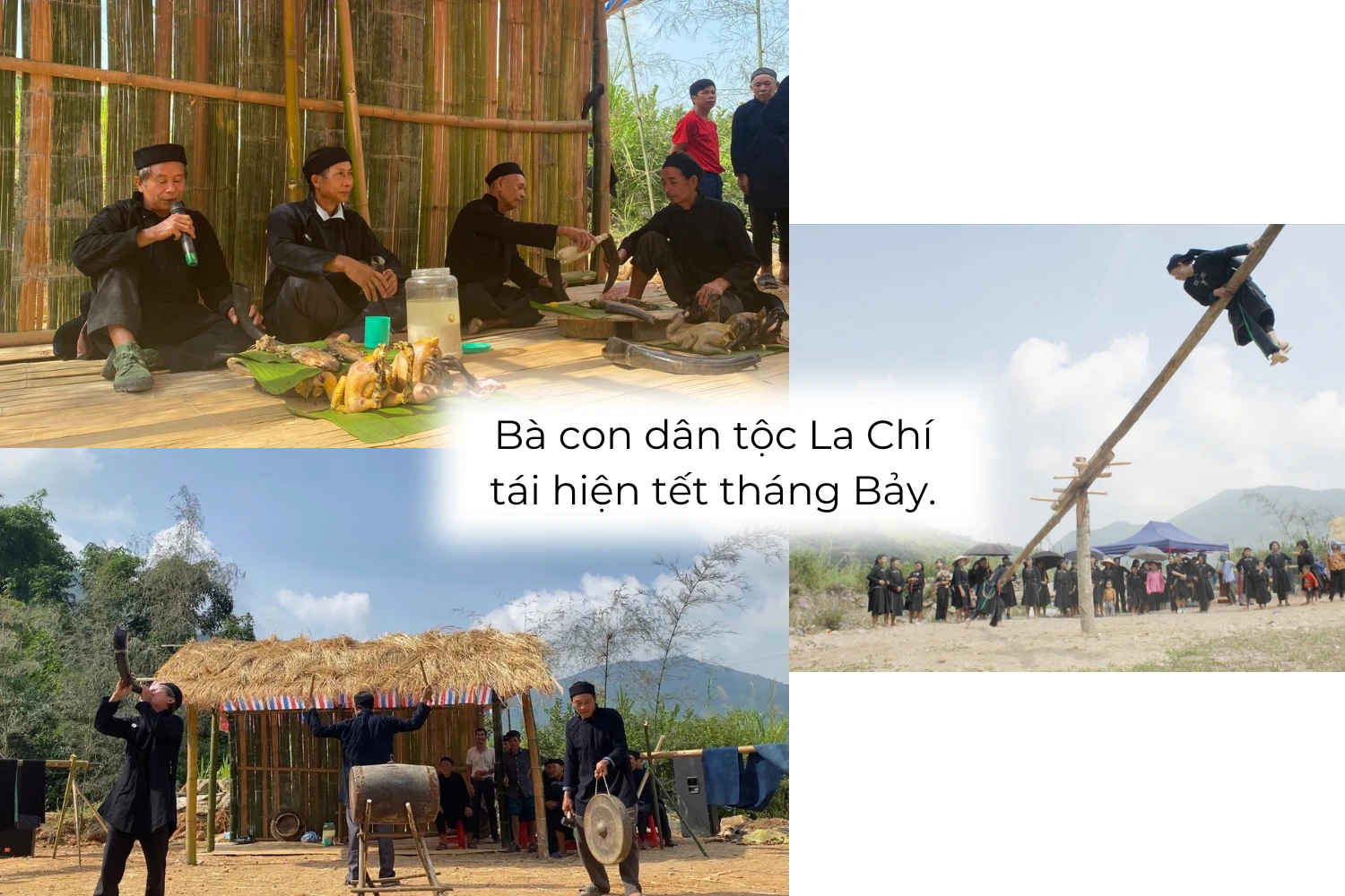 baoton2.png