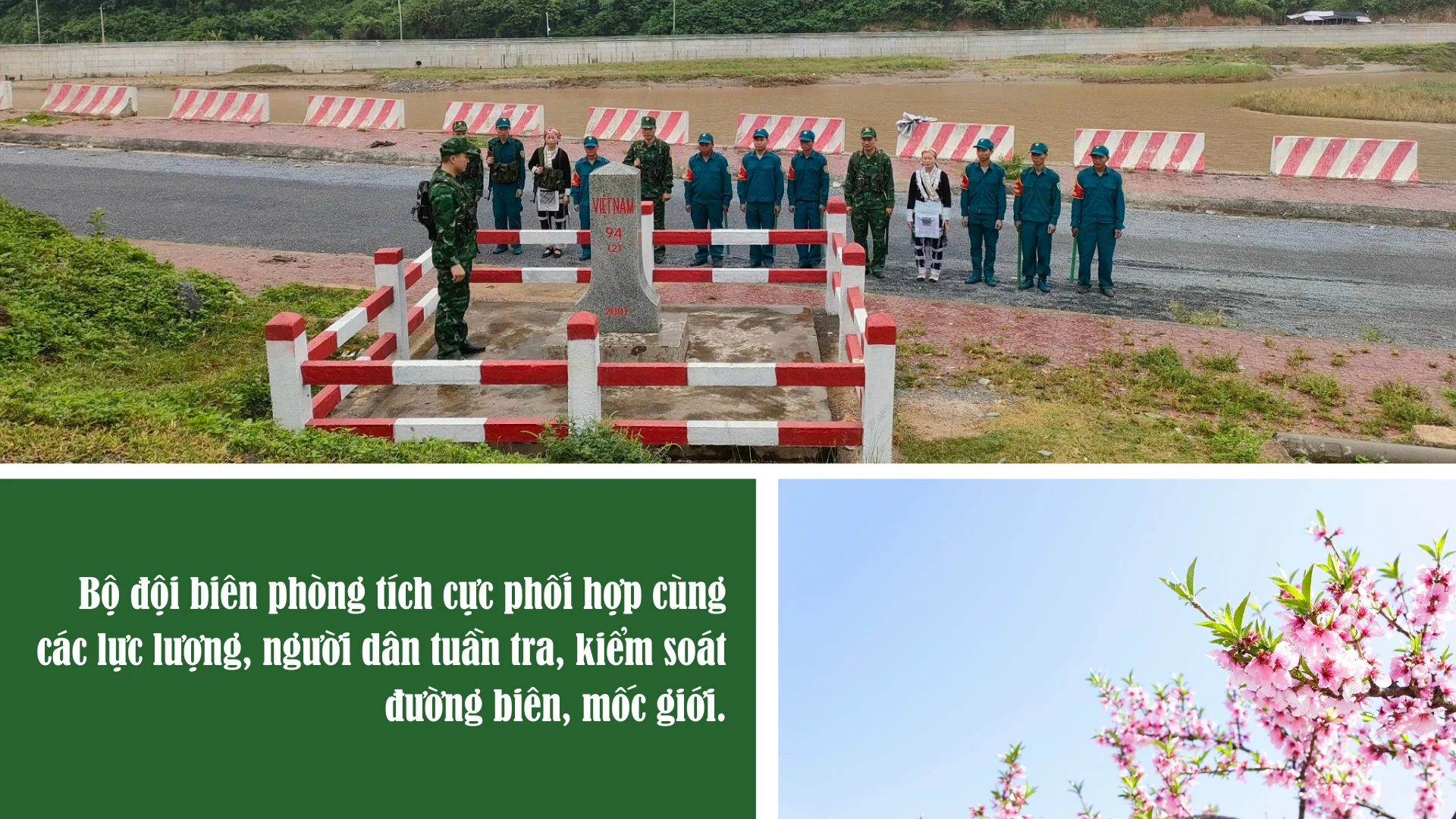2345643.png
