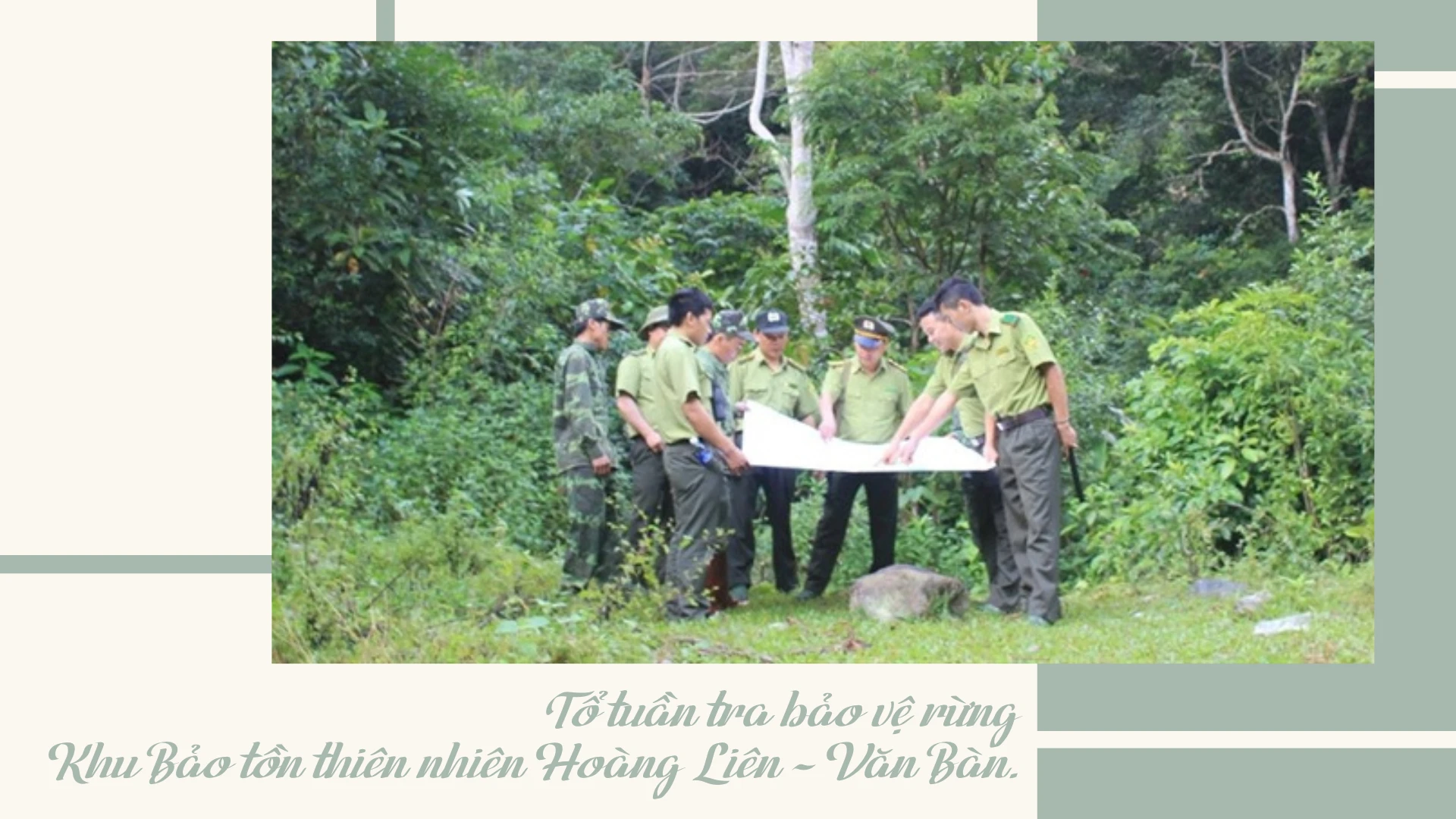 Trang bị kỹ năng cho tổ bảo vệ rừng cơ sở.png