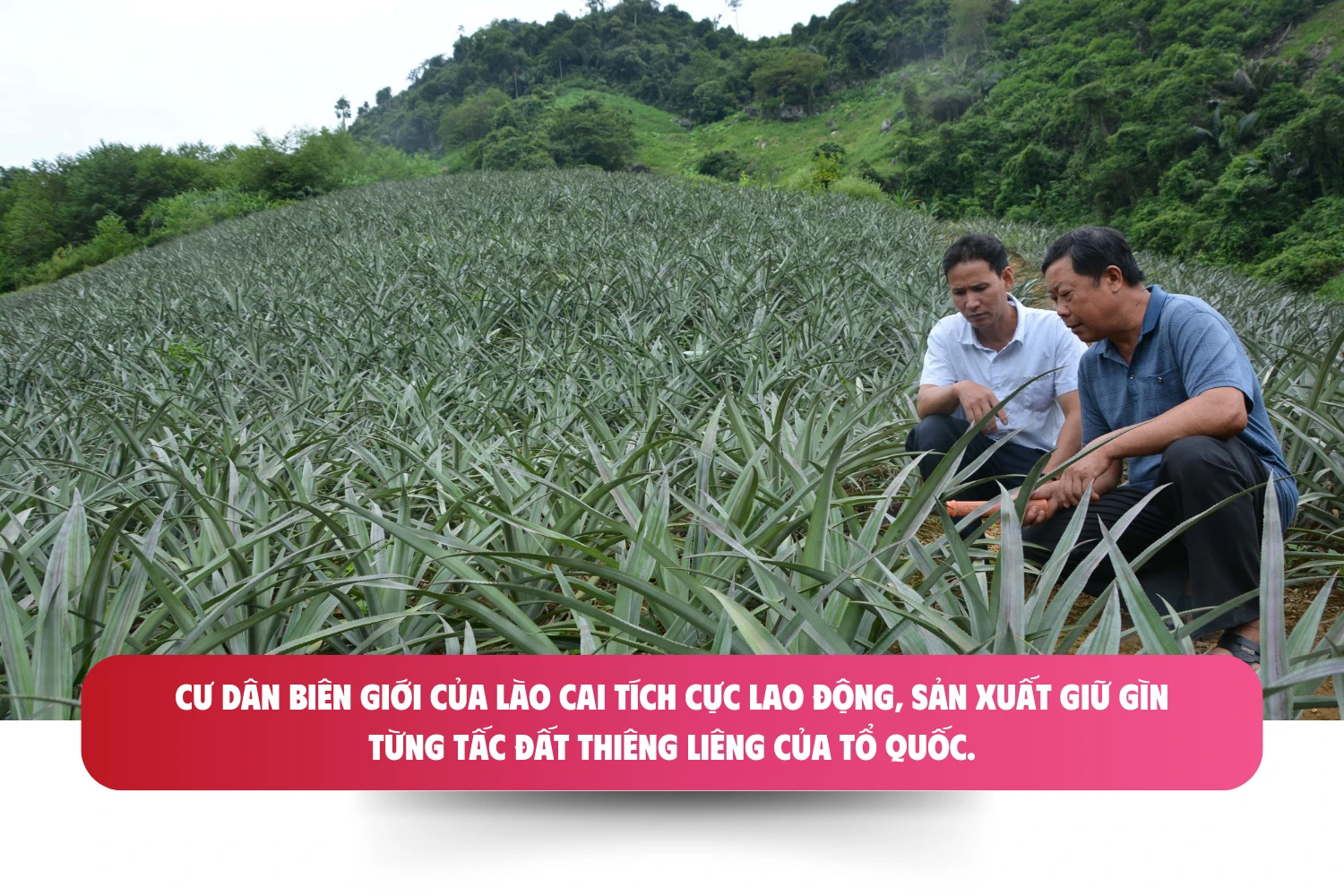 longform-bdbp-11-5958.png
