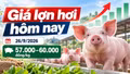 Giá lợn hơi hôm nay 26/9: Hai địa phương duy trì mốc 60.000 đồng/kg