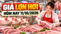 Giá lợn hơi hôm nay 11/10: Nhiều địa phương ở mức 53.000 - 54.000 đồng/kg