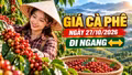 Giá cà phê hôm nay 27/10/2026: Đi ngang dưới mốc 90.000 đồng/kg