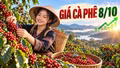 Giá cà phê hôm nay 8/10/2026: Tăng trở lại, cao nhất 94.400 đồng/kg