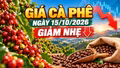 Giá cà phê hôm nay 15/10/2026: Đồng loạt giảm 200 đồng/kg