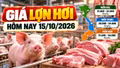 Giá lợn hơi hôm nay 15/10/2026: Thấp nhất 50.000 đồng/kg