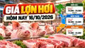 Giá lợn hơi hôm nay 16/10: Thị trường dao động 50.000 - 54.000 đồng/kg