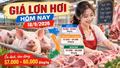 Giá lợn hơi hôm nay 18/9 ổn định, mốc 60.000 đồng/kg có lan rộng?