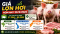 Giá lợn hơi hôm nay 30/8: Miền Bắc giảm nhẹ, cao nhất 60.000 đồng/kg