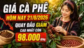 Giá cà phê hôm nay 21/8/2026 giảm, cao nhất còn 98.000 đồng/kg