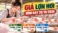 Giá lợn hơi hôm nay 28/10: Cả nước dao động 44.000 - 49.000 đồng/kg