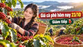 Giá cà phê hôm nay 23/10: Trong nước giảm phiên thứ hai, thế giới phân hóa
