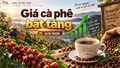 Giá cà phê hôm nay 6/9 đảo chiều tăng, Tây Nguyên thêm 1.000 đồng/kg