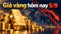 Giá vàng sáng hôm nay 5/9/2026: Vàng SJC giảm 1 triệu đồng/lượng