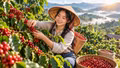 Giá cà phê hôm nay 30/9: Robusta, Arabica cùng bật tăng mạnh