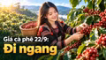 Giá cà phê hôm nay 22/9: Thị trường trong nước tiếp tục ổn định